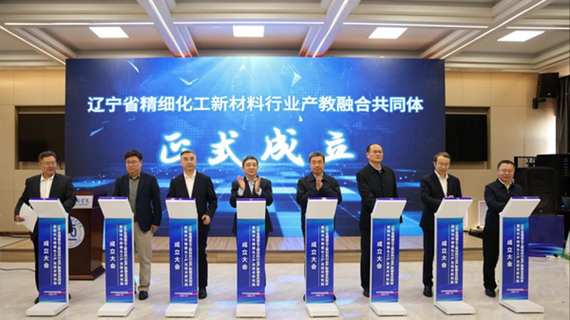 盐酸价格走势图解析：洞察市场波动与厂家选择