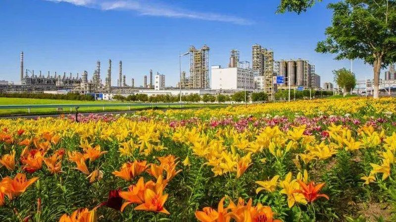 揭秘浙江精细化工产品批发价格行情的内在逻辑