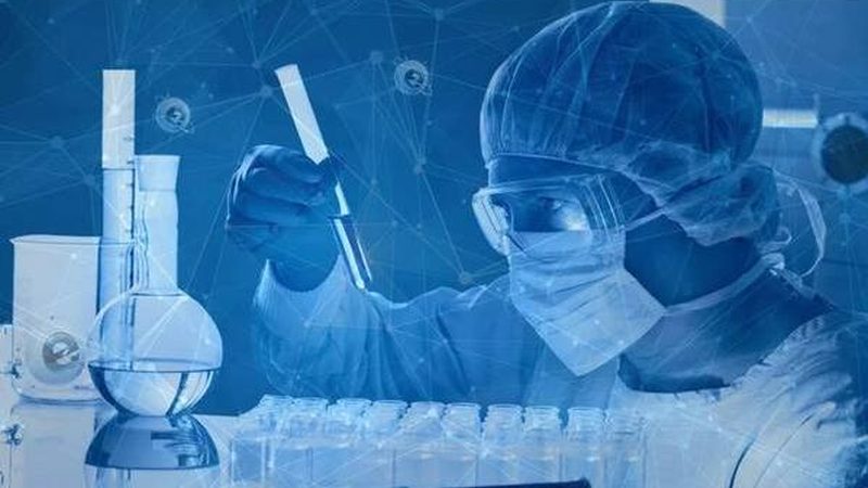 建筑用高分子板材：价格解析与选购要点**